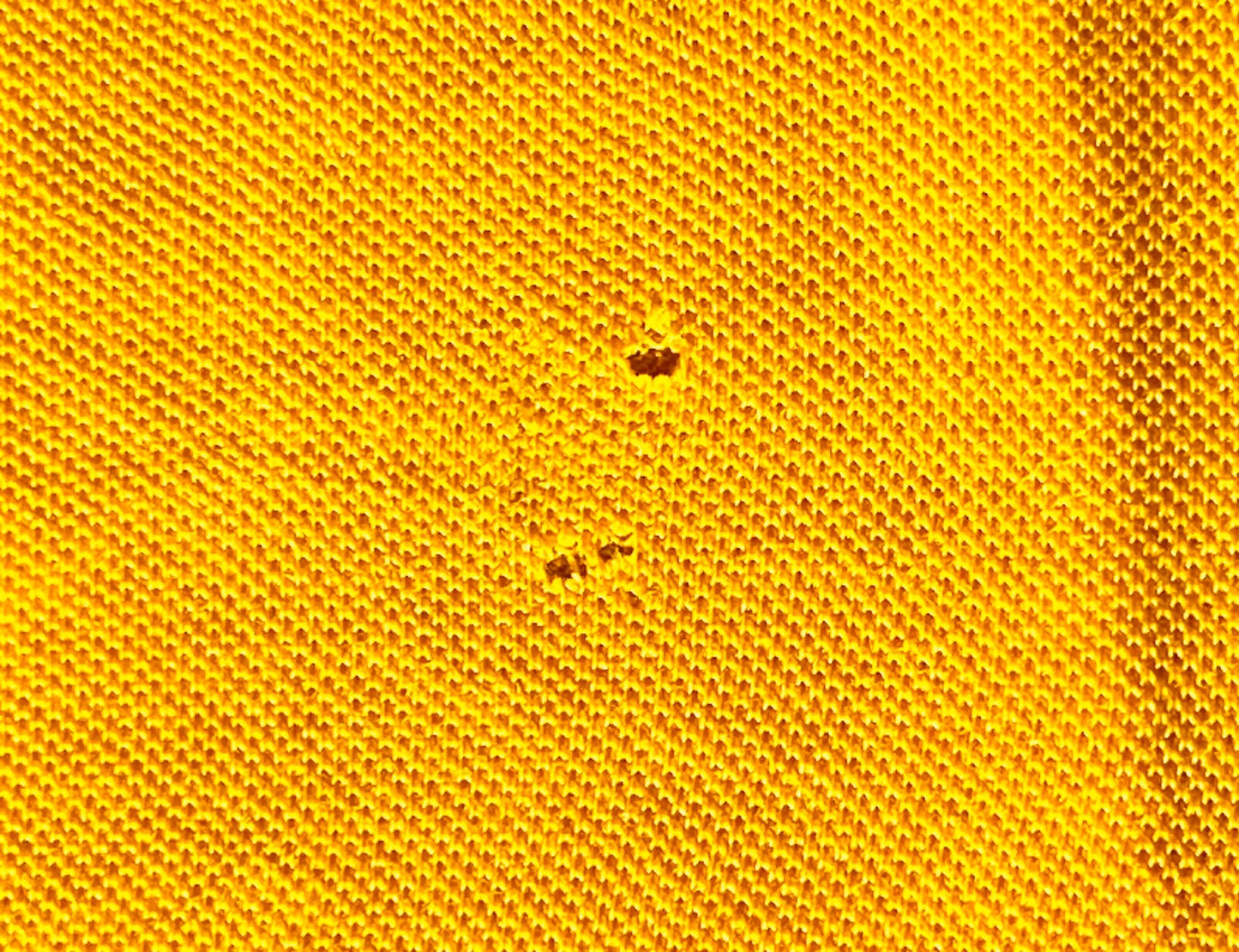 Polo Sergio Tacchini Tennis Monte Carlo Jaune - L (A175)